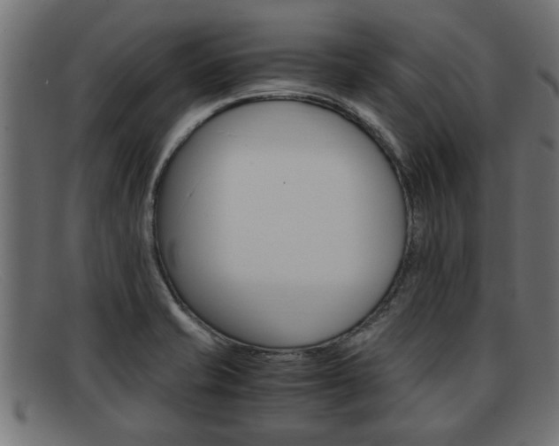 X0000091981421200709131403