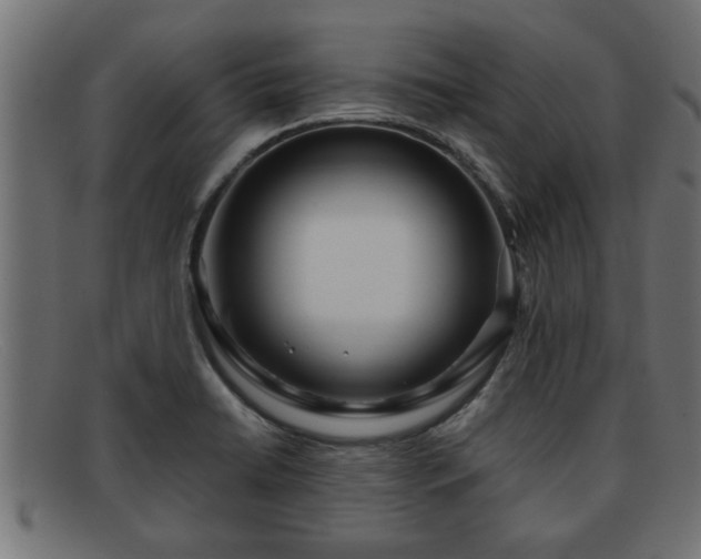 X0000091981422200709131403