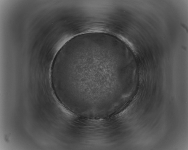 X0000091981423200709131403