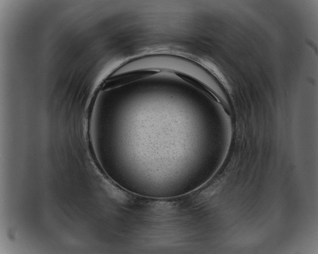 X0000091981424200709131403