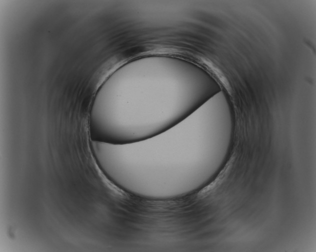 X0000091981425200709131403