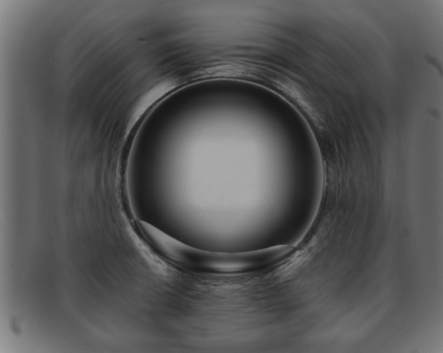 X0000091981426200709131403