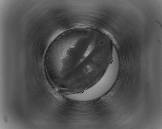 X0000091981427200709131403