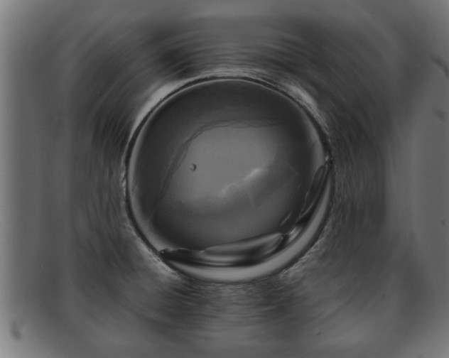 X0000091981428200709131403