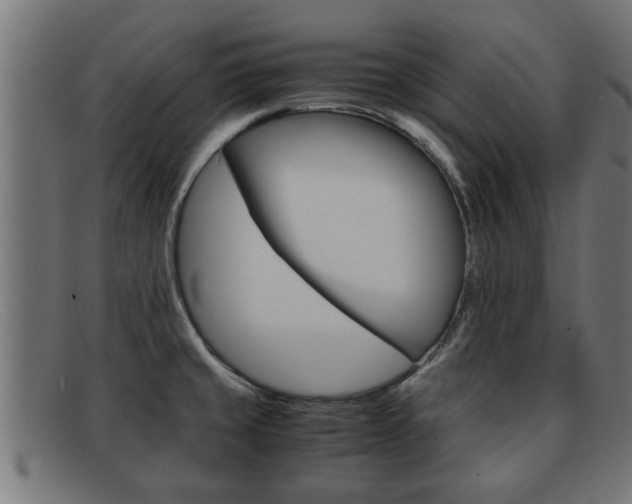 X0000091981429200709131403