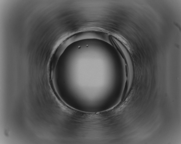 X0000091981430200709131403