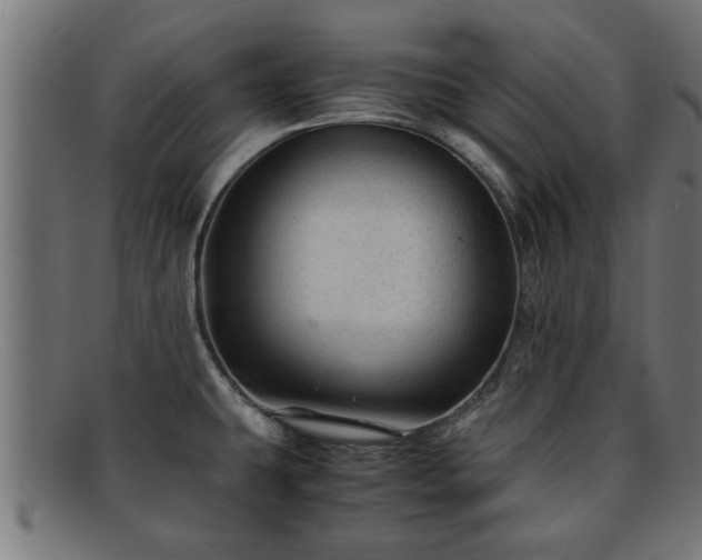 X0000091981431200709131403