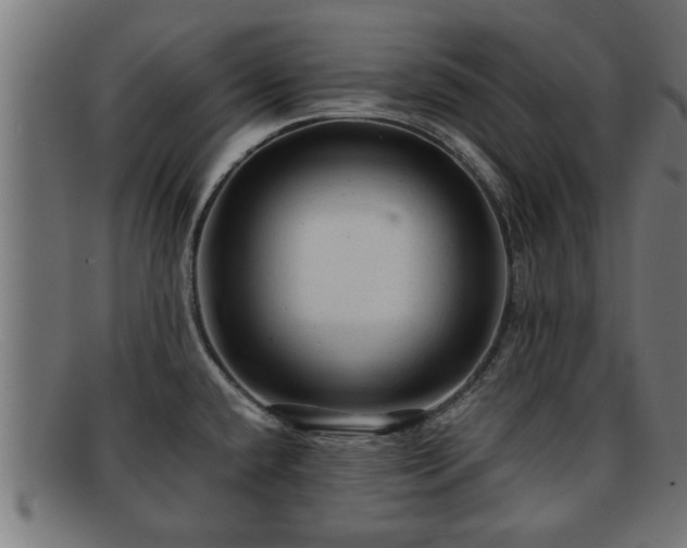 X0000091981432200709131403