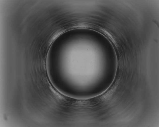 X0000091981433200709131403