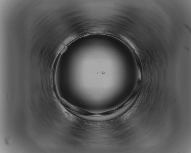 X0000091981434200709131403