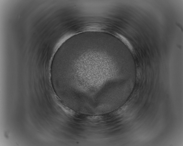 X0000091981435200709131403