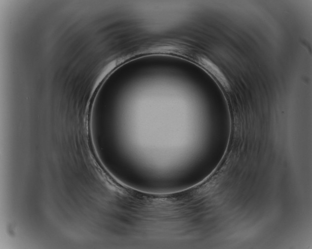 X0000091981436200709131403