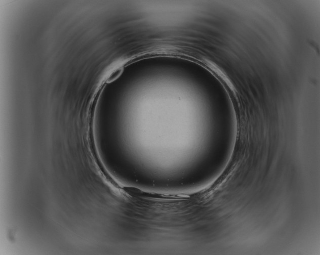 X0000091981437200709131403