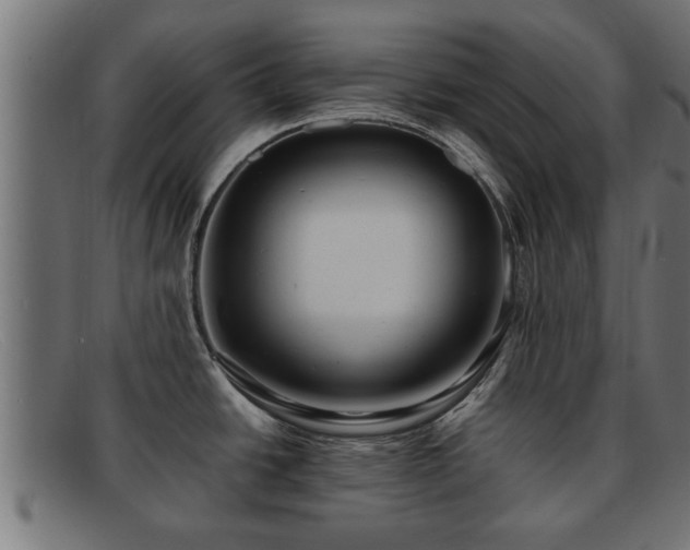 X0000091981438200709131404