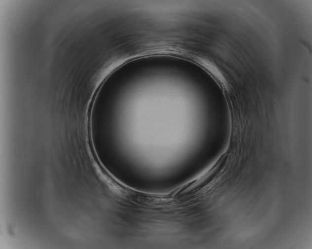 X0000091981439200709131404