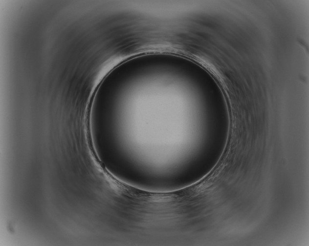 X0000091981440200709131404