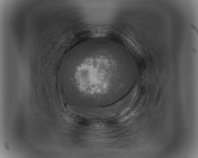 X0000091981441200709131403