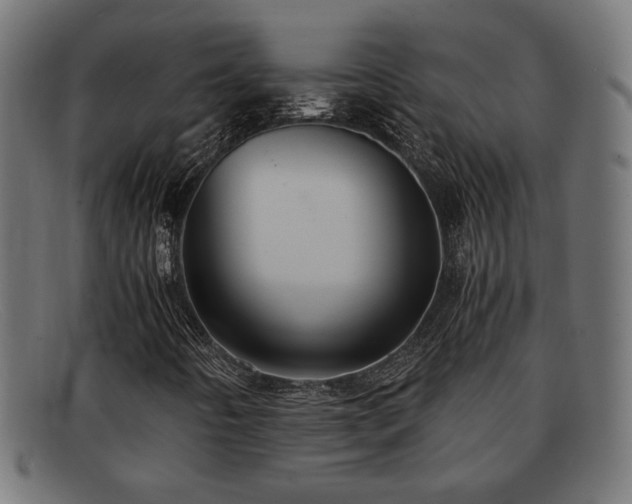 X0000091981442200709131403