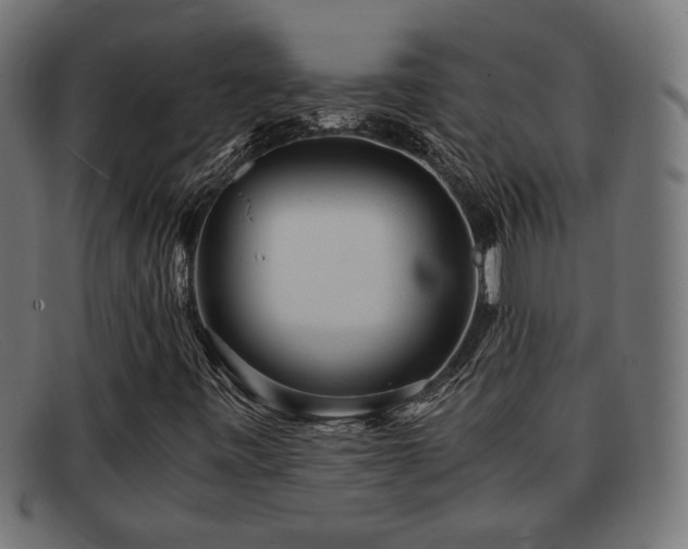 X0000091981443200709131403