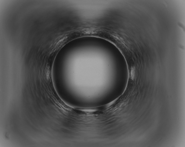 X0000091981444200709131403