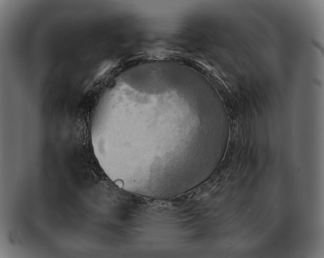 X0000091981446200709131403