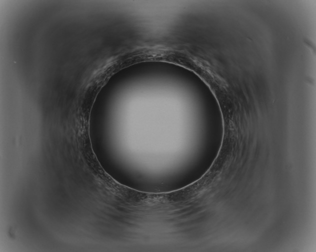 X0000091981447200709131403