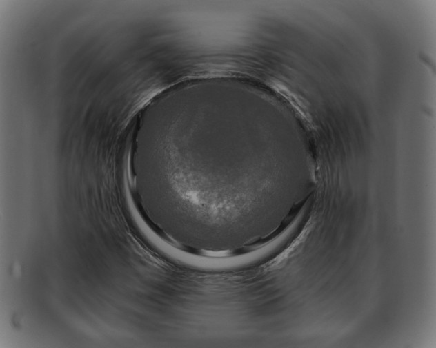 X0000091981449200709131403