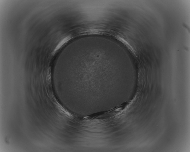 X0000091981450200709131403