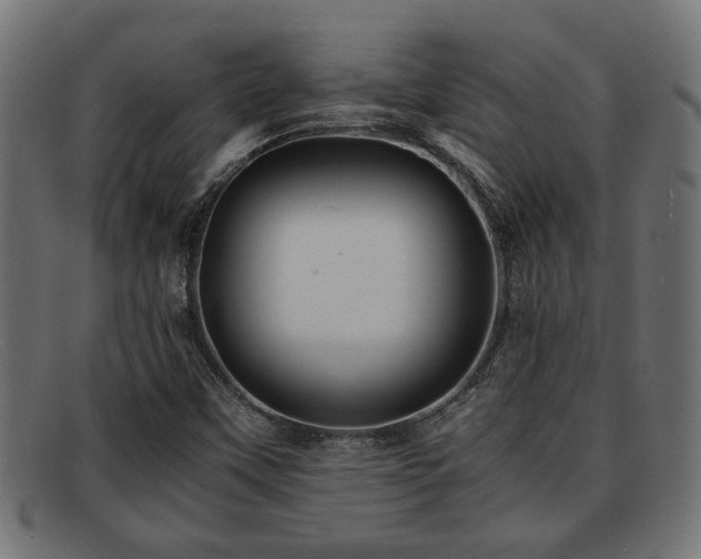 X0000091981451200709131403