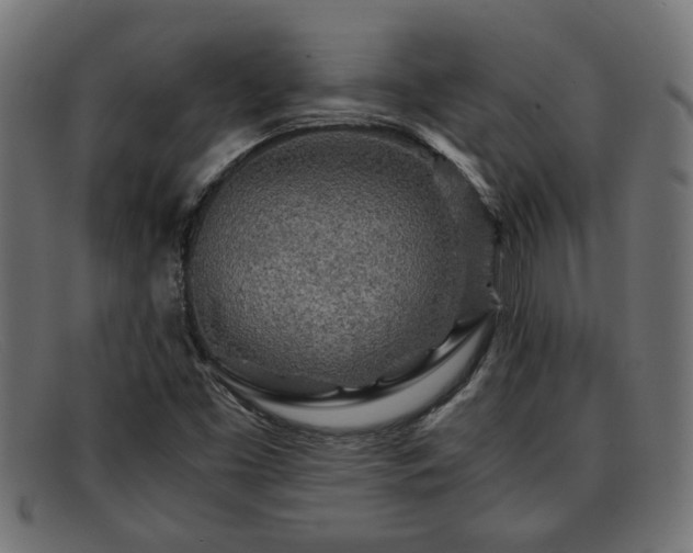 X0000091981453200709131403