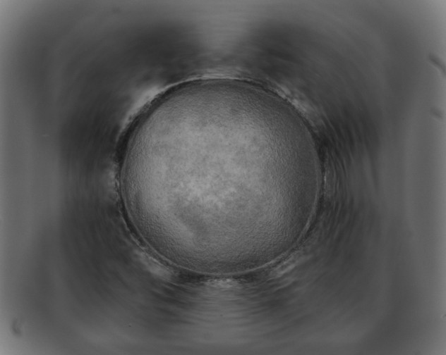 X0000091981454200709131403