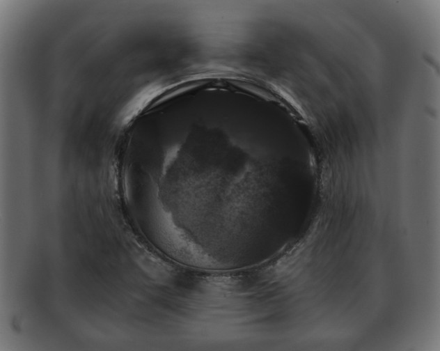 X0000091981455200709131403