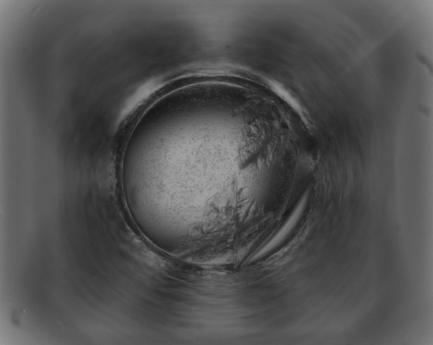 X0000091981456200709131403