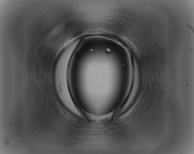 X0000091981457200709131403