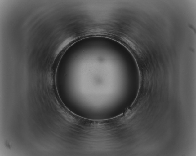 X0000091981458200709131403