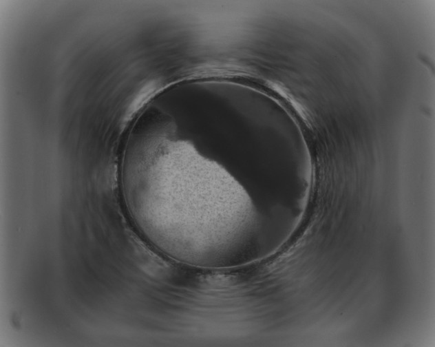 X0000091981459200709131403