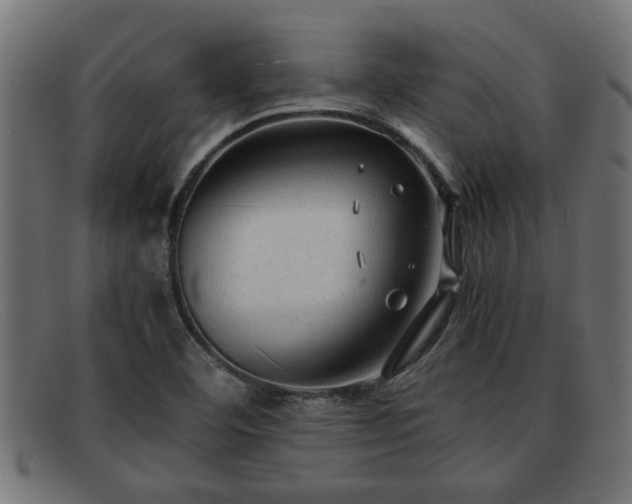 X0000091981460200709131403