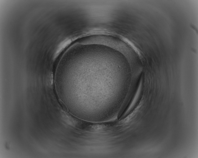 X0000091981461200709131403