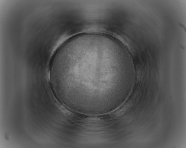 X0000091981462200709131403