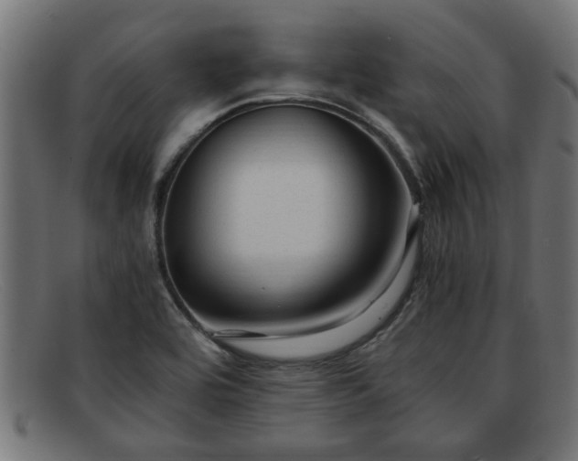 X0000091981464200709131403