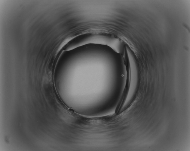 X0000091981465200709131403