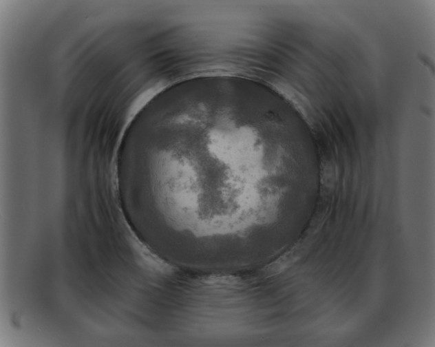 X0000091981466200709131403