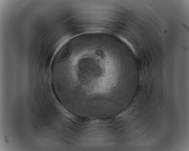 X0000091981467200709131403