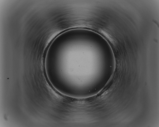 X0000091981468200709131403