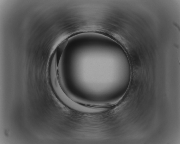 X0000091981469200709131403