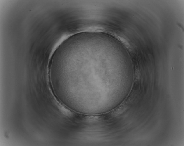 X0000091981470200709131403