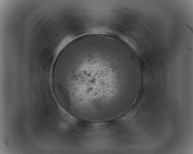 X0000091981471200709131403