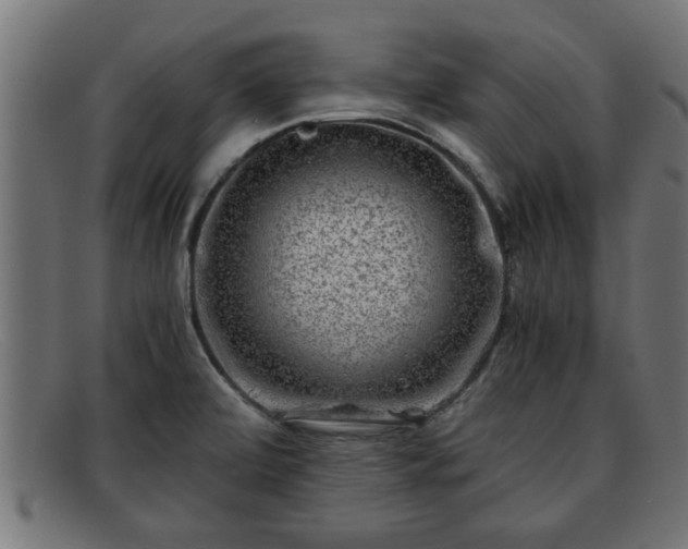 X0000091981472200709131403