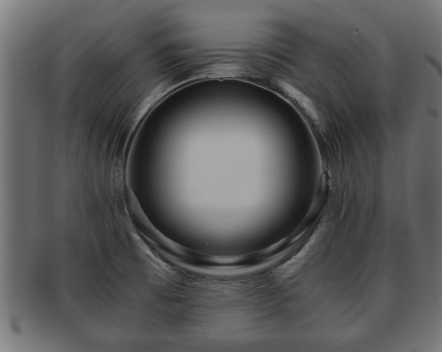 X0000091981473200709131403