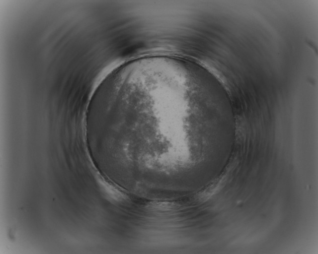 X0000091981474200709131403